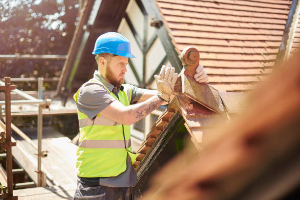 Best Flat Roof Repair Services  in Essex, IL